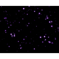 Stars обои на рабочий стол бесплатно и картинки Stars обои на рабочий стол бесплатно и картинки