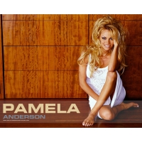 Pamela Anderson  (3 .)