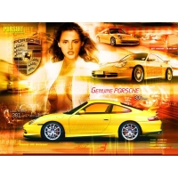 Ƹ Genuime Porsche    -       ,  -   