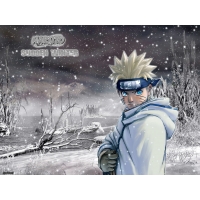 Snow Naruto -    2010