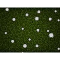 Vladstudio обои (4 шт.) Vladstudio обои (4 шт.)