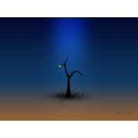 Vladstudio обои (4 шт.) Vladstudio обои (4 шт.)