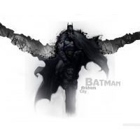 Batman: Arkham City        