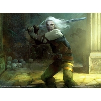 The Witcher фото обои и картинки The Witcher фото обои и картинки