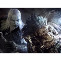 The Witcher широкоформатные обои и большие картинки The Witcher широкоформатные обои и большие картинки