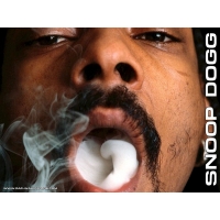 Snoop Dogg картинки, обои на новые рабочие столы Snoop Dogg картинки, обои на новые рабочие столы