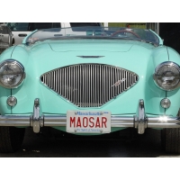 Austin Healey    