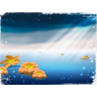 Цветы обои (5 шт.) Цветы обои (5 шт.)