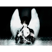 Angel обои (4 шт.) Angel обои (4 шт.)