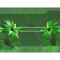 Цветы обои (5 шт.) Цветы обои (5 шт.)