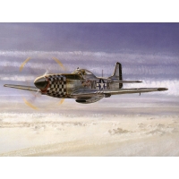  P-51 - ,       , 