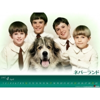 Finding Neverland обои (5 шт.) Finding Neverland обои (5 шт.)