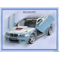 BMW Hamann  (2 .)