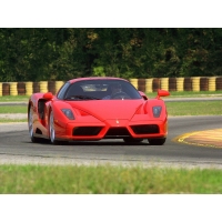 Ferrari Enzo  (6 .)