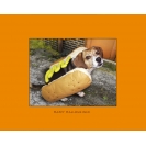 Happy Halloweiner ��������, �������� �� ������� ���� ���������