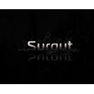 Surgut 3d �������� � ���������� �������� ����� windows