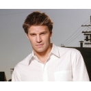 David Boreanaz �������� ���� �� ������� ���� � ��������