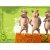 Три хрюшки из мультика shrek 2 - картинки и обои на креативный рабочий стол, мультяшки Три хрюшки из мультика shrek 2 - картинки и обои на креативный рабочий стол, мультяшки