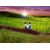 Windows XP, картинки и фоны для рабочего стола windows Windows XP, картинки и фоны для рабочего стола windows