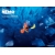 В поисках Немо (Finding Nemo) картинки и заставки на рабочий стол В поисках Немо (Finding Nemo) картинки и заставки на рабочий стол