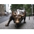 New York - Железный бык обои скачать бесплатно и фотографии New York - Железный бык обои скачать бесплатно и фотографии