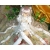 Аниме - Rozen Maiden картинки и обои, будет новый рабочий стол Аниме - Rozen Maiden картинки и обои, будет новый рабочий стол