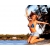 Britney Spears ������� �������� ���� ��� �������� �����