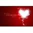 (1440�900, 1274 Kb) Happy Valentine Day ��������, �������� ���� �� ������� ���� � ��������