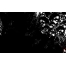 (1680�1050, 412 Kb) ������ ��� - ����, �������� � ���� ������� ���������